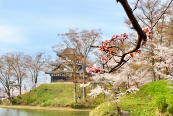 高田城百万人観桜会・。*＊